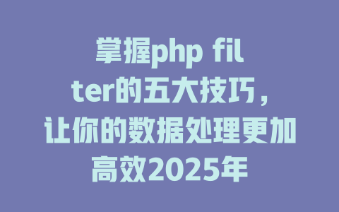 掌握php filter的五大技巧,让你的数据处理更加高效2025年 一