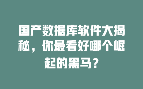 国产数据库软件大揭秘,你最看好哪个崛起的黑马? 一