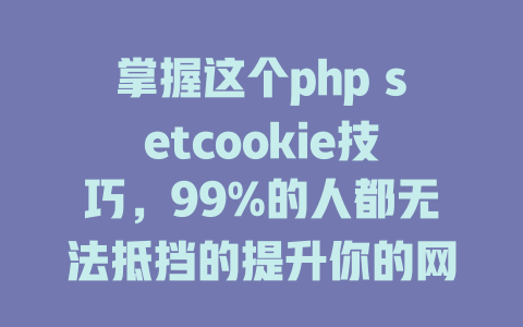 掌握这个php setcookie技巧，99%的人都无法抵挡的提升你的网站性能！-SEO论坛-分享经验-东莞市快语信息咨询有限公司