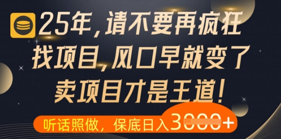 什么？25年你还在疯狂找项目做，醒醒吧，看完这些你全都懂了【揭秘】-SEO论坛-分享经验-东莞市快语信息咨询有限公司