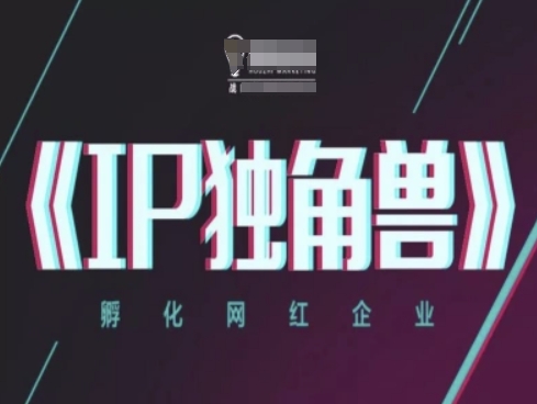 IP独角兽，孵化网红企业，ip教程-SEO论坛-分享经验-东莞市快语信息咨询有限公司