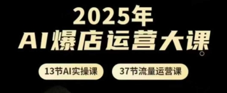2025年AI爆店运营大课，13节AI实操课+37节流量运营课-SEO论坛-分享经验-东莞市快语信息咨询有限公司