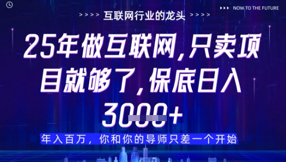 什么！25年你还在找项目做？风口早就变了，卖项目才是稳挣不赔【揭秘】-SEO论坛-分享经验-东莞市快语信息咨询有限公司