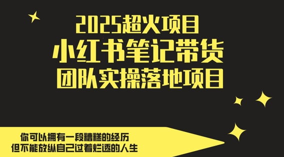 2025超火项目，副业最佳选择，小红书笔记带货团队实操落地项目，，轻松日入5张-SEO论坛-分享经验-东莞市快语信息咨询有限公司