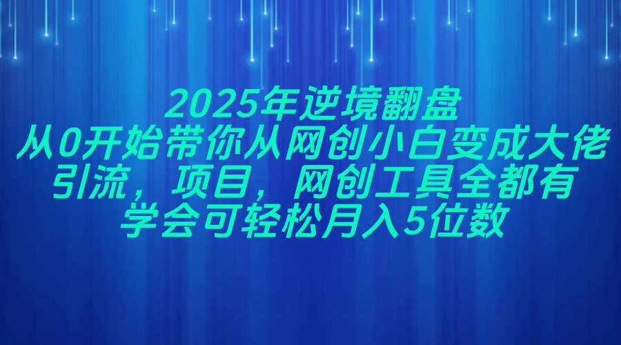 2025年逆境翻盘，从0开始带你从网创小白变成大佬，引流，项目，网创工…-SEO论坛-分享经验-东莞市快语信息咨询有限公司