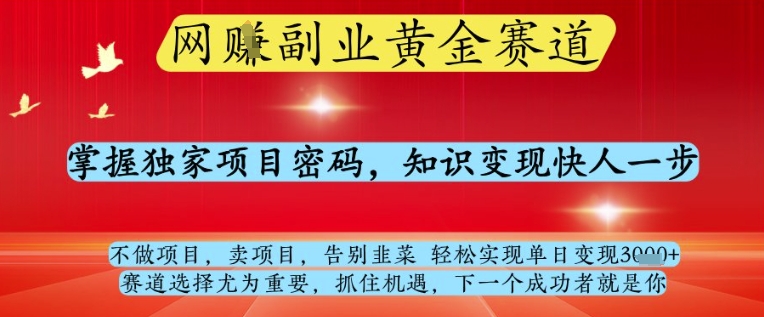 网创副业黄全赛道，掌握独家项目密码，知识变现快人一步，告别韭菜轻松实现单日变现1k+【揭秘】-SEO论坛-分享经验-东莞市快语信息咨询有限公司