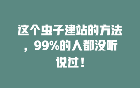 这个虫子建站的方法，99%的人都没听说过！-SEO论坛-分享经验-东莞市快语信息咨询有限公司
