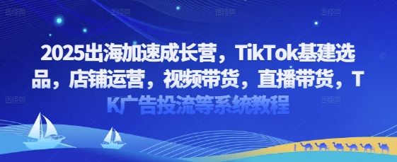 2025出海加速成长营，TikTok基建选品，店铺运营，视频带货，直播带货，TK广告投流等系统教程-SEO论坛-分享经验-东莞市快语信息咨询有限公司