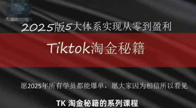 TikTok跨境2025淘金秘籍，​2025TikTok从0到盈利变现-SEO论坛-分享经验-东莞市快语信息咨询有限公司