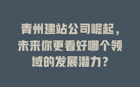 青州建站公司崛起，未来你更看好哪个领域的发展潜力？-SEO论坛-分享经验-东莞市快语信息咨询有限公司