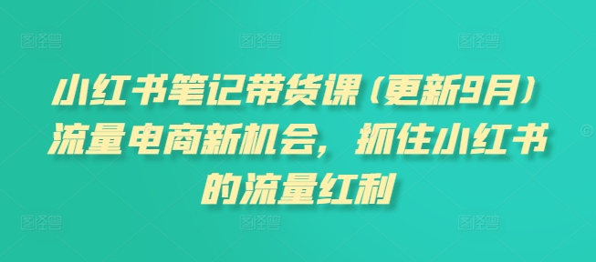 小红书笔记带货课(更新25年4月)流量电商新机会，抓住小红书的流量红利-SEO论坛-分享经验-东莞市快语信息咨询有限公司