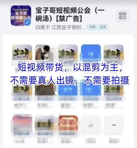 宝子哥头部团队短视频带货，以混剪为主，不需要真人出镜，不需要拍摄-SEO论坛-分享经验-东莞市快语信息咨询有限公司