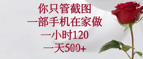 你只管截图，一部手机在家可以做，一小时120.一天5张+【揭秘】-SEO论坛-分享经验-东莞市快语信息咨询有限公司