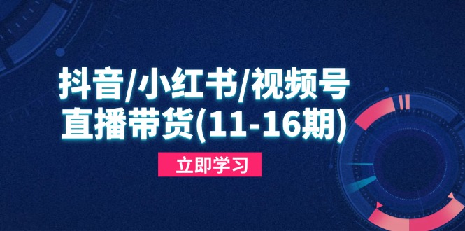 抖音/小红书/视频号/直播带货(11-16期-SEO论坛-分享经验-东莞市快语信息咨询有限公司