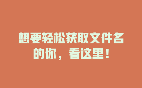想要轻松获取文件名的你，看这里！-SEO论坛-分享经验-东莞市快语信息咨询有限公司