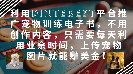 利用Pinterest平台推广宠物训练电子书，不用创作内容，只需要每天利用业余时间，上传宠物图片就能挣美金!-SEO论坛-分享经验-东莞市快语信息咨询有限公司