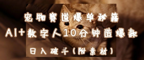 宠物赛道爆单秘籍：AI+数字人10分钟造爆款，日入1k-SEO论坛-分享经验-东莞市快语信息咨询有限公司