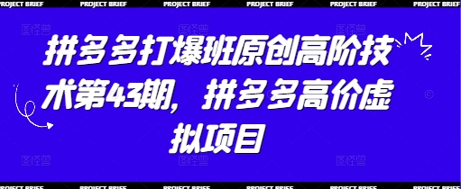 拼多多打爆班原创高阶技术第43期，拼多多高价虚拟项目-SEO论坛-分享经验-东莞市快语信息咨询有限公司