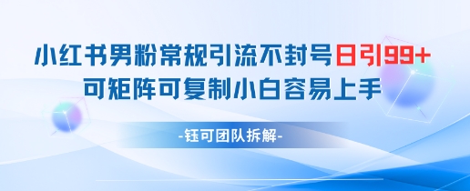 小红书男粉常规引流不封号日引99+变现简单 可矩阵可复制小白容易上手-SEO论坛-分享经验-东莞市快语信息咨询有限公司
