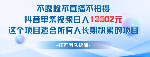 不露脸不直播不拍摄抖音单条视频日入1k+这个项目适合所有人长期积累的项目-SEO论坛-分享经验-东莞市快语信息咨询有限公司